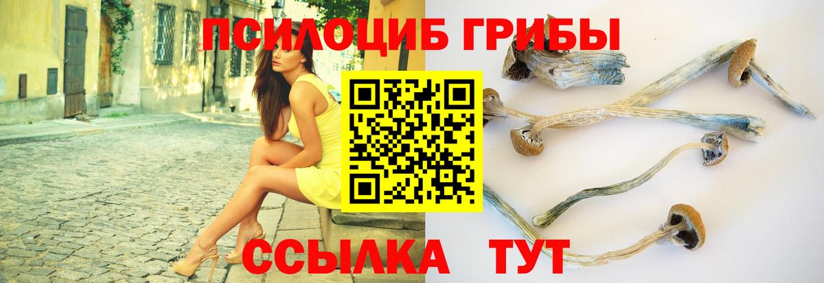 Галлюциногенные грибы прущие грибы  Галлюциногенные грибы ЛСД  Вход с VPN  Минусинск 